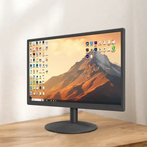 22" Inch - LCD Professional Monitor (Offer)