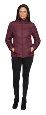 Womens Berry Short Padded Zip Up Jacket db6508