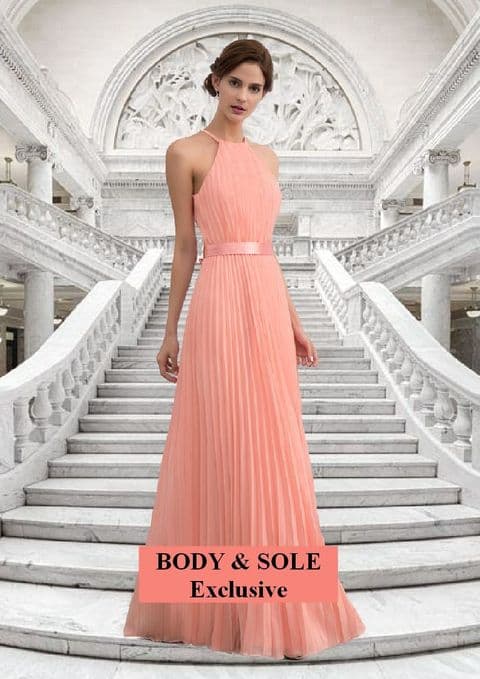 AE - Coral Pleated Long dress