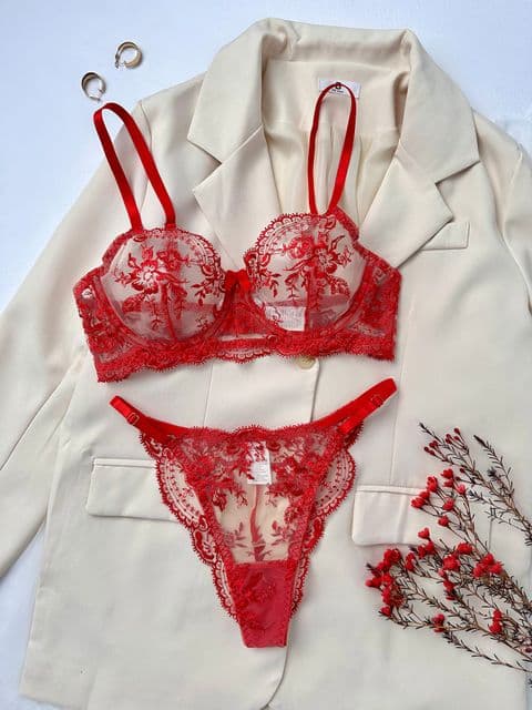 AE - Red sheer Bra set