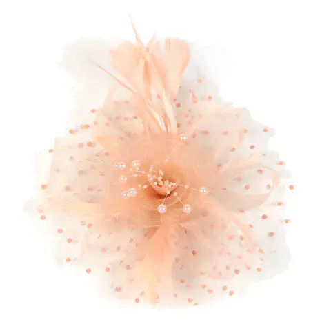 BandS - Champagne Facinator