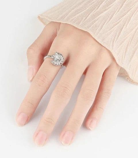 BandS - Rotating Silver Moon & Star Ring £14.99