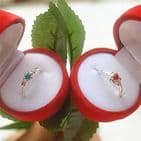 BandS - Stem Rose ring box £14.99