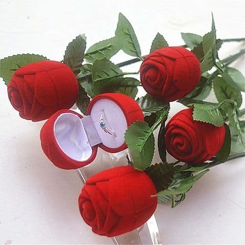 BandS - Stem Rose ring box £14.99