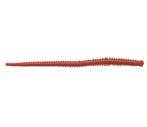 Berkley Gulp! Saltwater 4 inch Isome - Futomi