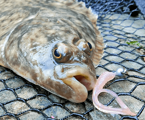 Big Lerf Lure Combo - Flounder