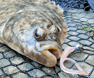 Big Lerf Lure Combo - Flounder