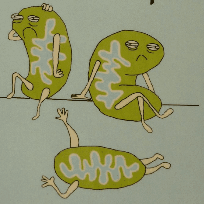 April 16th -April 23rd 2026 - Retreat at Upper Weston