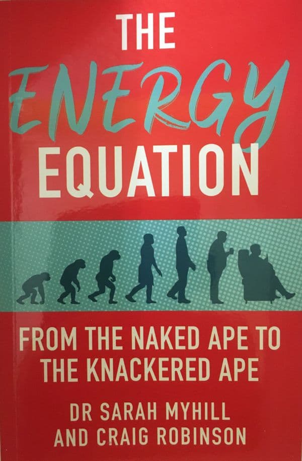 BOOK - The Energy Equation - ONE COPY - to Europe -