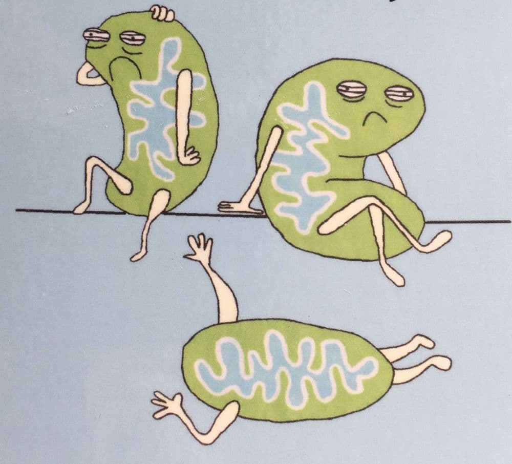 July 17th - July 24th 2026 - Retreat at Upper Weston