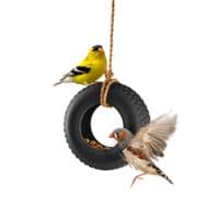 Fred Swing Time - Novelty Tire Swing Bird Feeder