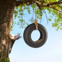 Fred Swing Time - Novelty Tire Swing Bird Feeder