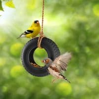Fred Swing Time - Novelty Tire Swing Bird Feeder