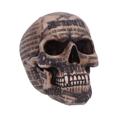 Nemesis Now Draculas Tale Skull 18.5cm