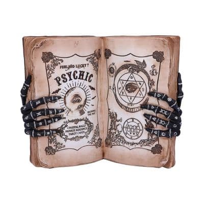 Nemesis Now Psychic Compendium 25.8cm