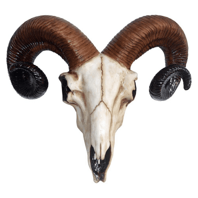 Nemesis Now Rams Skull Medium 33cm