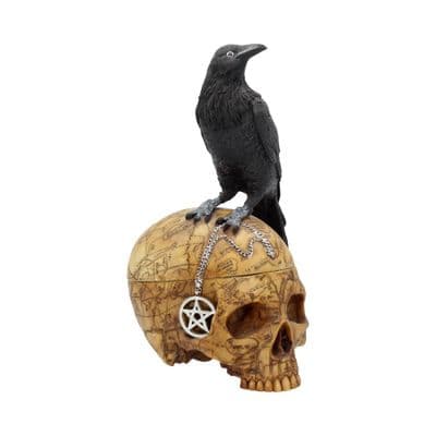 Nemesis Now Salems Familiar Skull 27cm