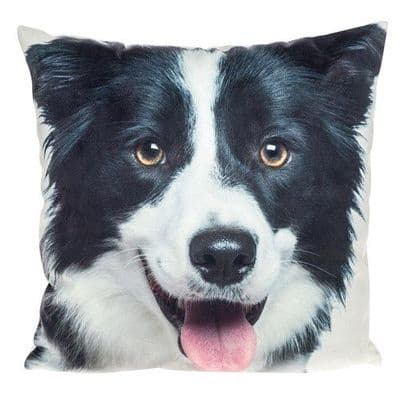 Shudehill Giftware Visage Dog Cushions Border Collie 22cm