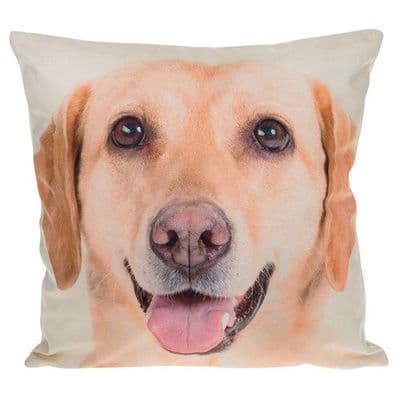 Shudehill Giftware Visage Dog Cushions Golden Labrador 22cm