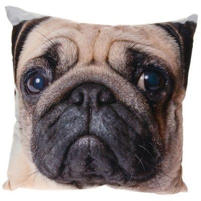 Shudehill Giftware Visage Dog Cushions Pug 22cm