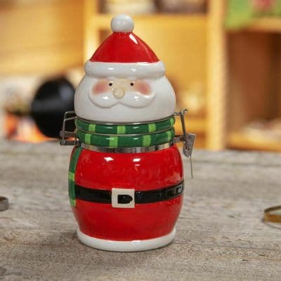 The Novelties Co. Novelty Xmas Earthenware Jar Santa Design