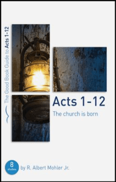 Acts 1-12: The Church is Born 9781802541533