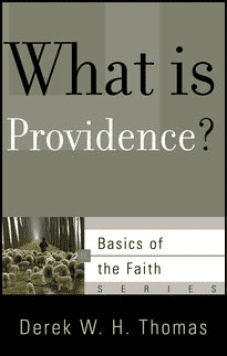 Basics: What Is Providence?