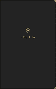 Joshua ESV Journal