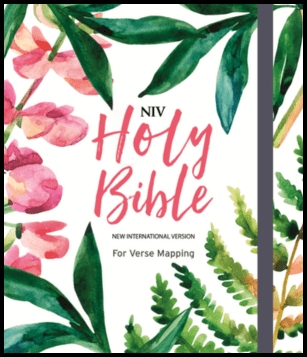 NIV Bible for Journalling & Verse Mapping