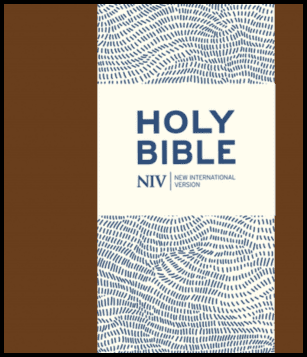 NIV Journalling Bible - Brown