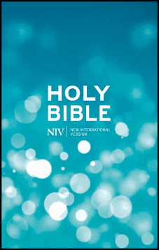 NIV Popular Blue Pew Bible Pack of 10