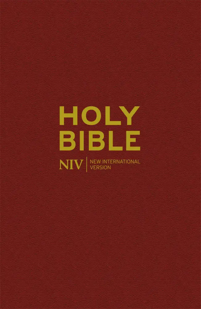 NIV Popular Burgundy Hardback Bible 10 Pack