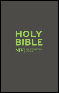 NIV Popular Soft-tone Bible with Zip