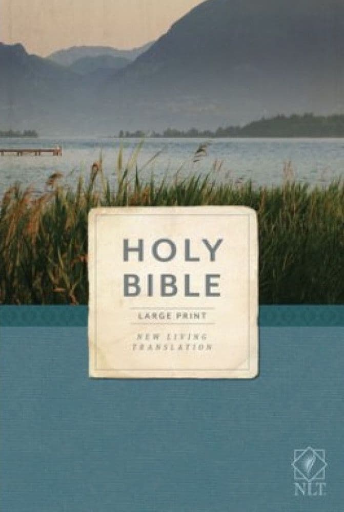 NLT Economy Outreach Bible Large Print