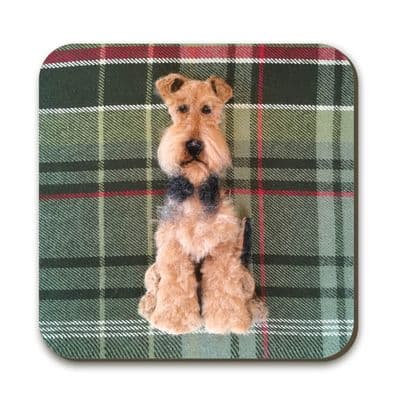 Airedale Terrier Coaster by Sharon Salt