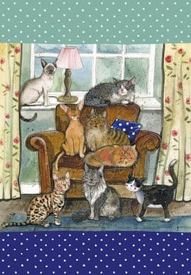 Alex Clark Cat House Tea Towel – 100% Cotton Cat & Kitten Kitchen Towel 45 x 65cm