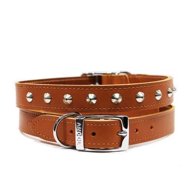Ancol Classic Collection Leather Collar in Tan with Studs  26-31cm Size 2, Dog Accessory