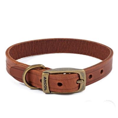 Ancol Latigo Luxury Leather Collar Chestnut 26-31cm Size 2, Dog Accessory