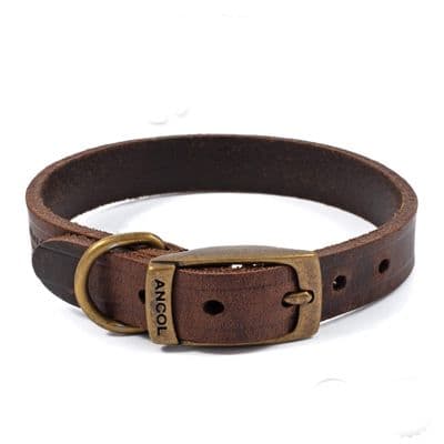 Ancol Latigo Luxury Leather Collar Havana 20-26cm Size 1, Dog Accessory