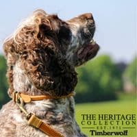 Timberwolf Round Leather Dog Collar Mustard 28–36cm UK