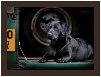 Bella the Black Labrador Faux Leather Lap Tray by Rural Roots