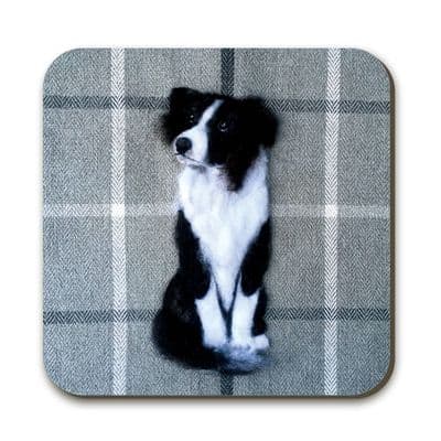 Border Collie Coaster by Sharon Salt