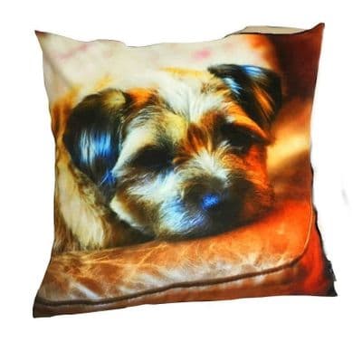 Border Terrier Flirty Gerty Cushion
