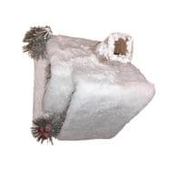 Christmas Forest illuminated Chalet House with a Snow Covered Roof