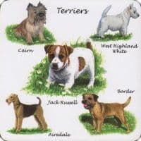 Coaster Terriers