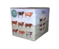 Cows Collection Fine China Mug