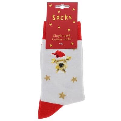 Dog Ladies Single Pack Cotton Socks Frankie Xmas Hat