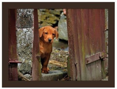 Fox Red Labrador Faux Leather Lap Tray by Rural Roots