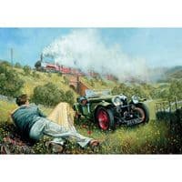Gibsons Countryside Love 500-Piece Jigsaw Puzzle – David Noble