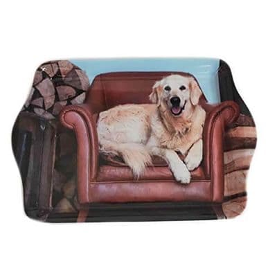 Golden Retriever Small Tray
